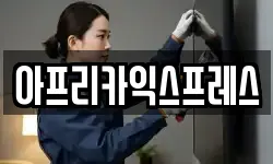 아프리카익스프레스