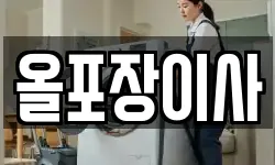 올포장이사