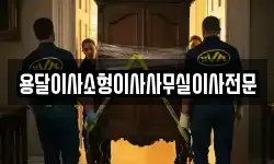 용달이사소형이사사무실이사전문