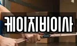 케이지비이사