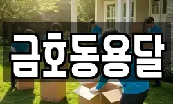 금호동용달