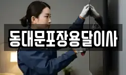 동대문포장용달이사