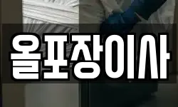 올포장이사