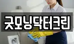 굿모닝닥터크린