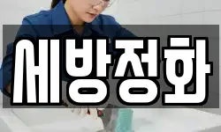 세방정화
