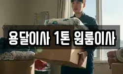 용달이사 1톤 원룸이사