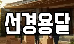 선경용달
