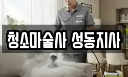 청소마술사 성동지사