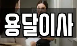 용달이사
