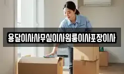 용달이사사무실이사원룸이사포장이사