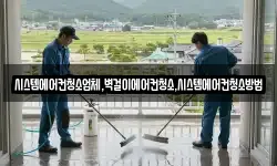 시스템에어컨청소업체,벽걸이에어컨청소,시스템에어컨청소방법