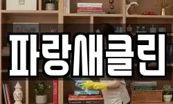 파랑새클린