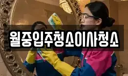 월중입주청소이사청소