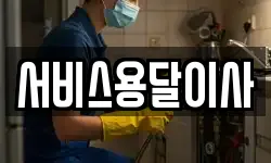 서비스용달이사