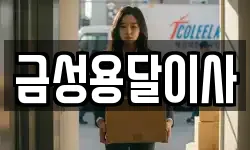 금성용달이사