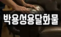 박용성용달화물