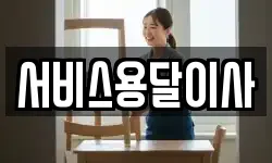 서비스용달이사