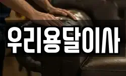 우리용달이사