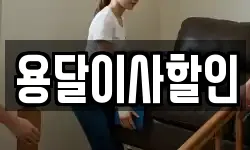 용달이사할인