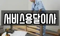 서비스용달이사
