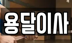 용달이사