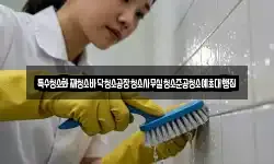 특수청소화재청소바닥청소공장청소사무실청소준공청소예초대행집