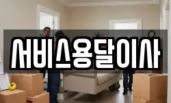 서비스용달이사
