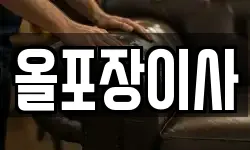 올포장이사