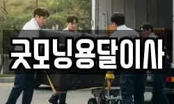 굿모닝용달이사