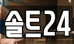 솔트24