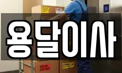 용달이사