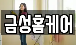 금성홈케어
