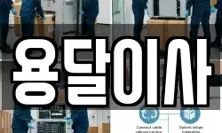 용달이사