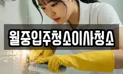 월중입주청소이사청소