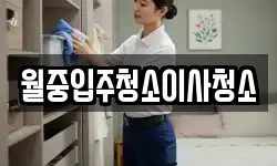 월중입주청소이사청소