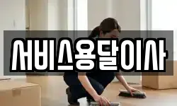 서비스용달이사