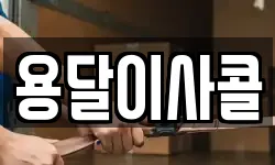 용달이사콜