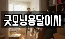 굿모닝용달이사