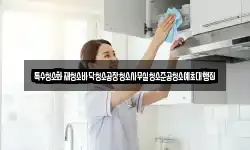 특수청소화재청소바닥청소공장청소사무실청소준공청소예초대행집