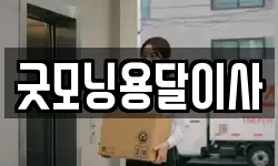 굿모닝용달이사