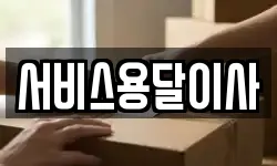 서비스용달이사