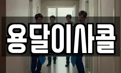 용달이사콜