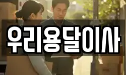 우리용달이사