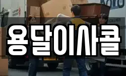용달이사콜