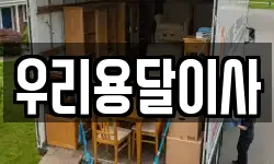 우리용달이사