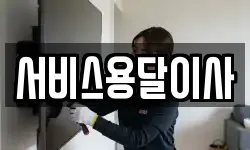 서비스용달이사