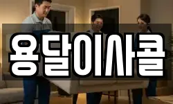 용달이사콜