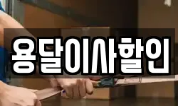 용달이사할인