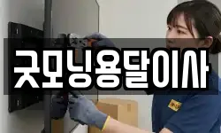 굿모닝용달이사
