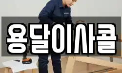 용달이사콜